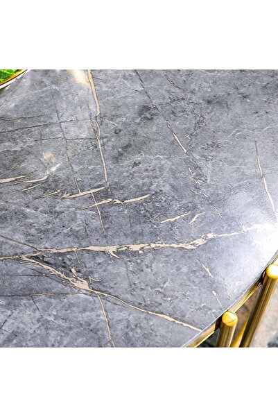 Danube Home Armadillo Coffee Table  L85xW85xH46cm - Grey / Gold