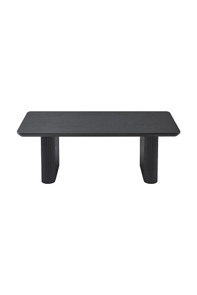 Danube Home Tierra Centre Table  L120xW60xH45cm - Black