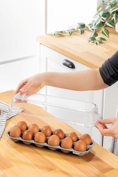 simplicity Tidy Egg Gray 12 Compartment Egg Cup with Lid Refrigerator Egg Storage Container