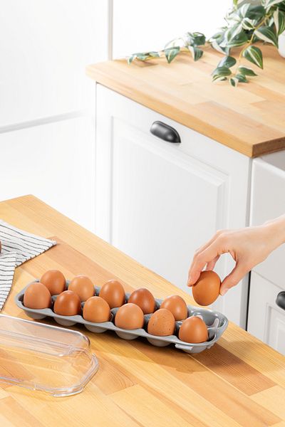 simplicity Tidy Egg Gray 12 Compartment Egg Cup with Lid Refrigerator Egg Storage Container