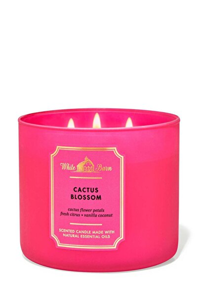 Bath & Body Works شمعة زهرة الصبار ذات الثلاث فتائل