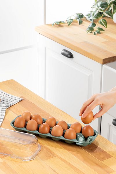 simplicity Tidy Egg Green 12 Compartment Egg Cup with Lid Refrigerator Egg Storage Container