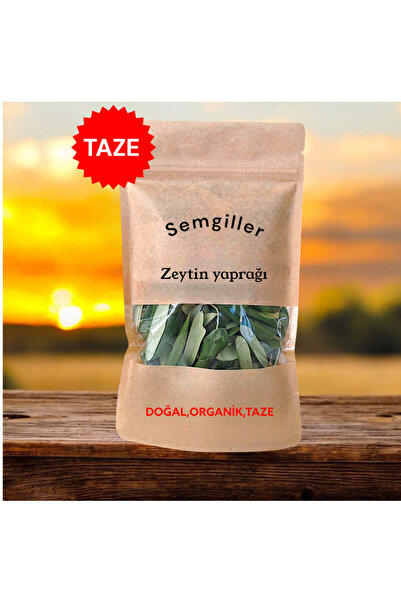 Semgiller Zeytin Yaprağı Taze 50 Gr Doğal Seçilmiş,Elenmiş,Katkısız