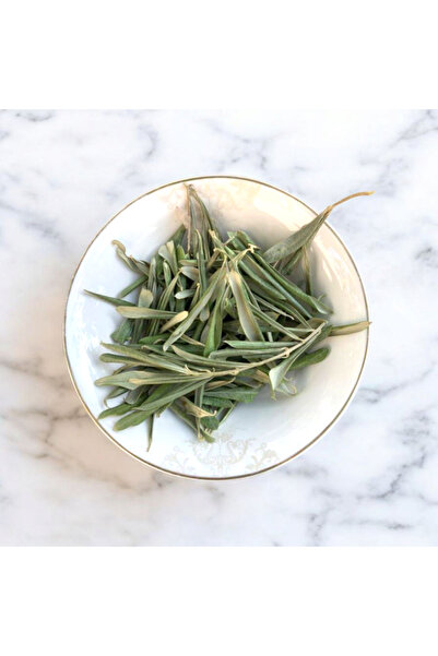 Semgiller Zeytin Yaprağı Taze Dalından 100Gr Doğal,Elenmiş,Katkısız