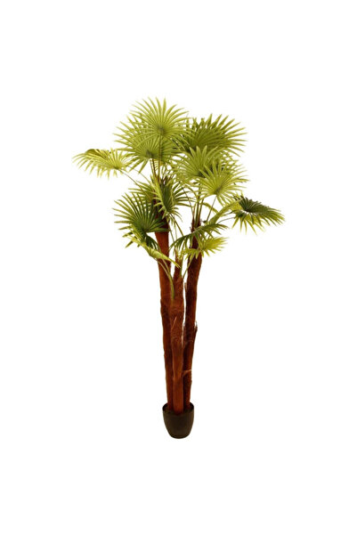 Atmosphera شجرة نخيل صناعية مزخرفة سهلة الصيانة ذات مظهر واقعي مع وعاء 180 سم