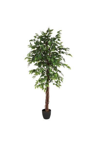 Atmosphera Easy Maintenance Realistic Looking Decorative Artificial Ficus Plant with Pot 180cm