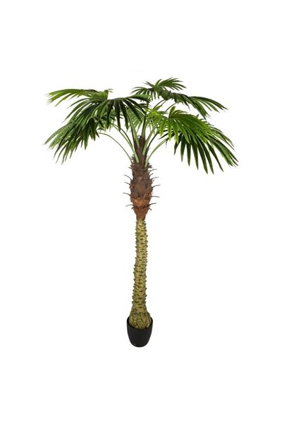 Atmosphera Easy Maintenance Realistic Looking Decorative Artificial Palm Tree with Pot 180cm