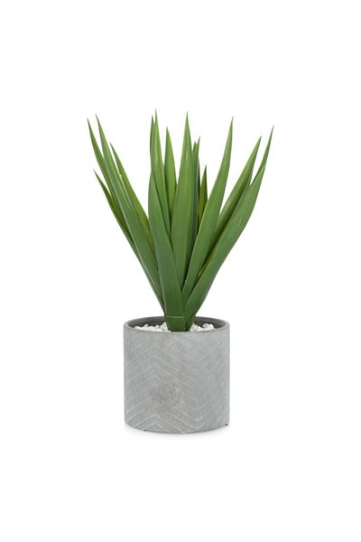 Atmosphera Lightweight Realistic Flat Base Aloe Vera Artificial Plant with Vase
