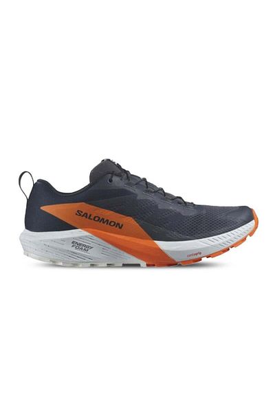 Salomon Sense Ride 5 Gtx Men's Outdoor Shoes L 47459400   Blue