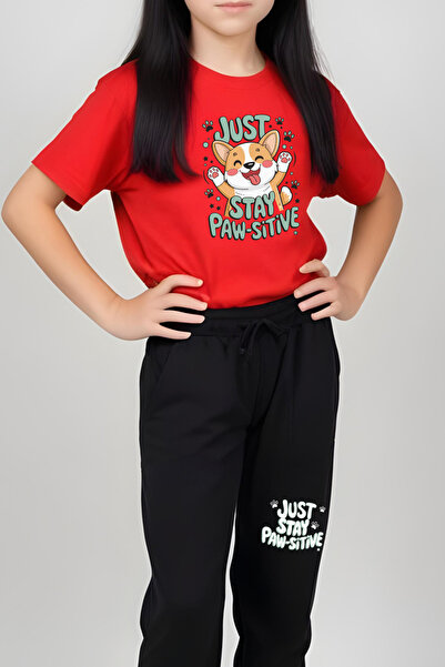 panios kids Just Stay Paw Printed Girl's T-Shirt and Sweatpants Set