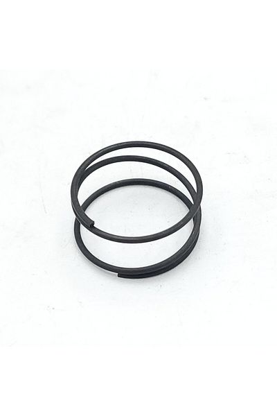 EXPERT Caliper Mechanism Part Inner Spring Trw Type (5 Pieces)