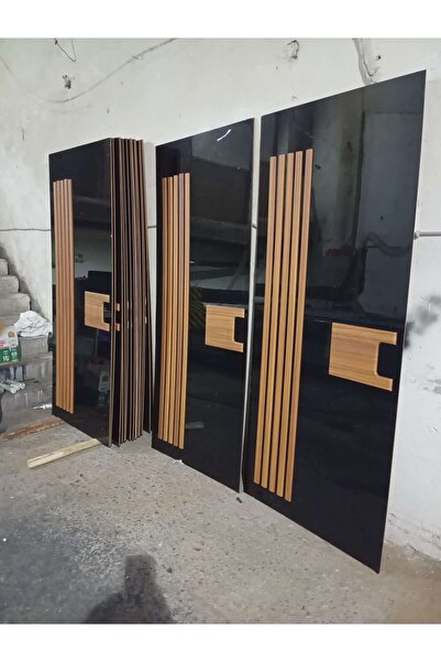 Asel Ahşap Çelik kapı