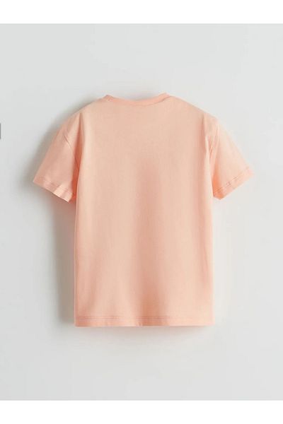 LC Waikiki Lcw Eco Pink Crew Neck Printed Boys' T-Shirt