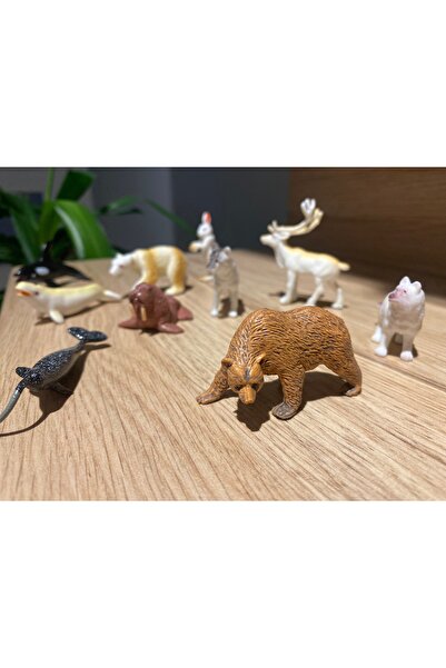 liss çarşı Tavşan Geyik Fok Balığı Yunus Boz Ayı vb. 10 Parça Mini Buzul Hayv...