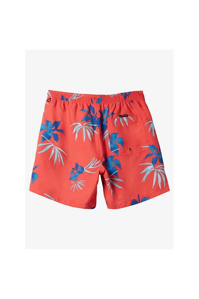 Quiksilver Everyday Mix Volley 15 Men's Swim Shorts