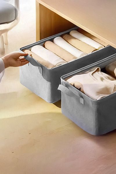 Myvenia 2 Pieces Tela 45X25X20 Steel Cabinet Organizer Shelf Storage Foldable Clothing Organizer