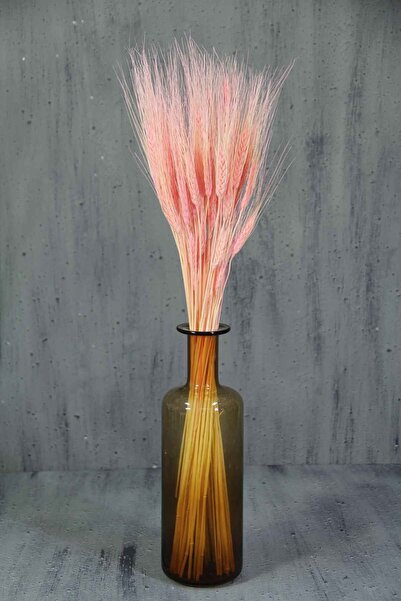 Dekorsende Kurutulmuş Başak Demeti Pembe