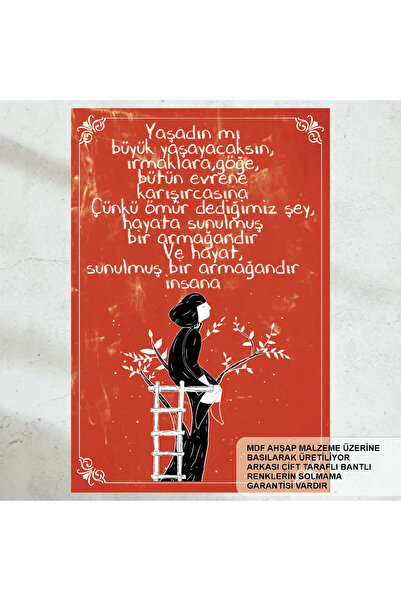 Hayat Poster Ceva pe care l-am învățat din viața mea Motivație Murale Decor p...