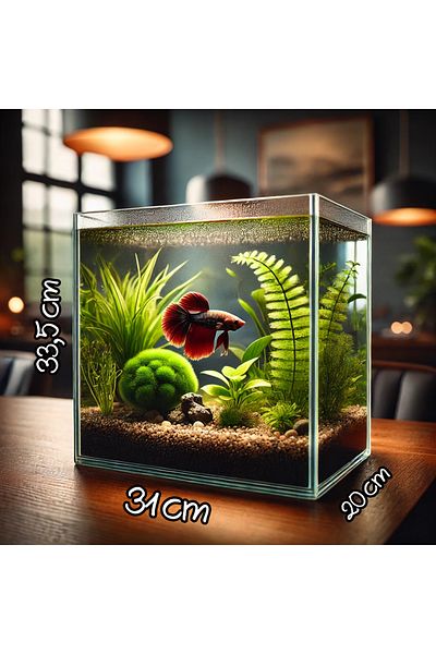 Fauna Pet Supplies Full Glass Aquarium – for Betta, Japanese and Tropical Fish (18 Lt)