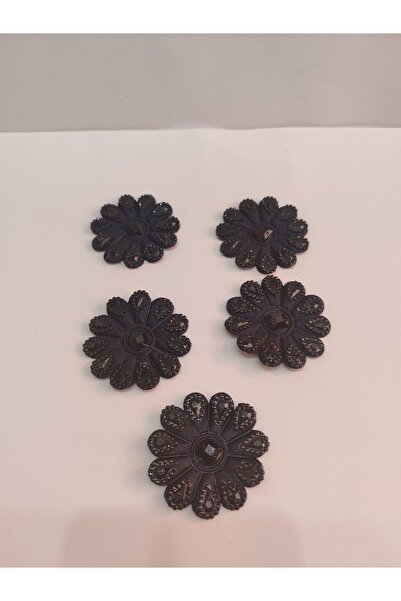 Home البرقوق ديزي