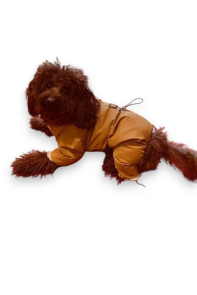 GedyCo Waterproof Plush Inside Cinnamon Small Breed Dog Jumpsuit Raincoat