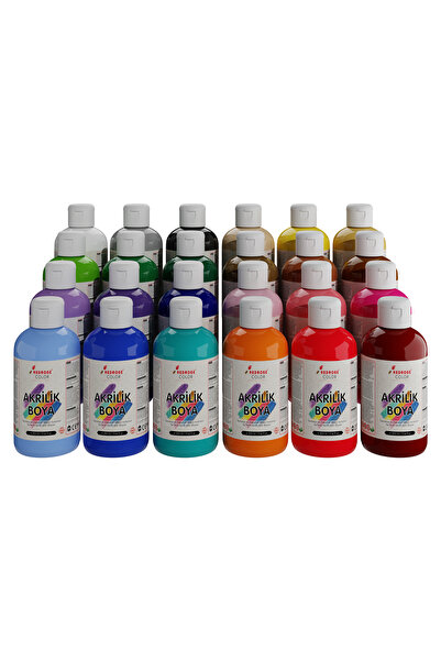REDROSE COLOR Akrilik Boya Seti 24 Renk 24x250gr, Dekoratif Hobi Amaçlı Sanat...