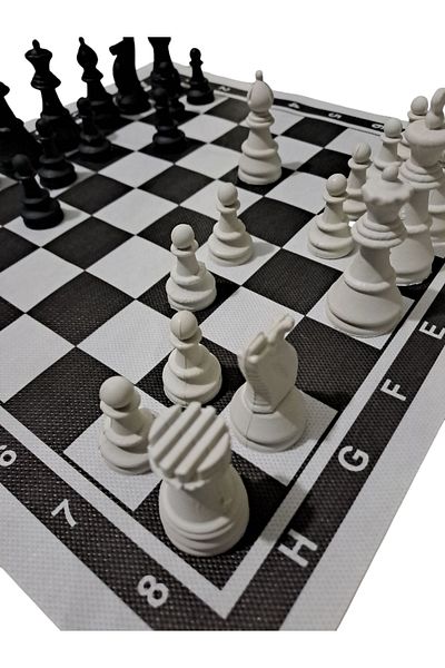 DNG STORE Roll Chess Set Schools Special Large Cloth Chess 35X35 cm