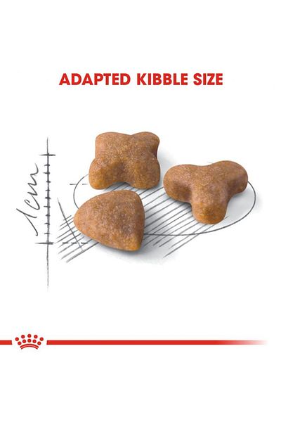 Royal Canin Sensible Feline Cat Health Nutrition Brown 2kg