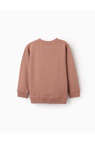 Ziddy Cotton Sweatshirt for Boys 'Inspiration', Brown