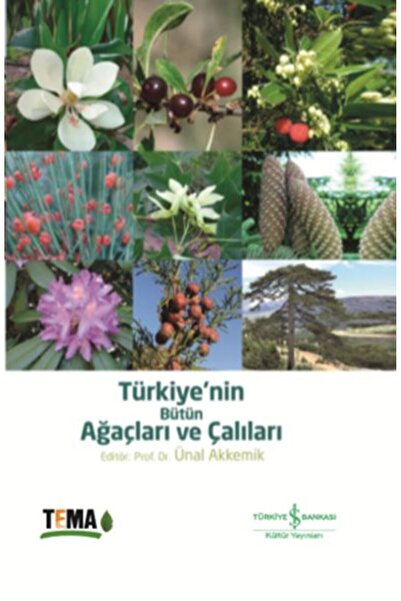 Yazarın Kendi Yayını Türkiyenin Bütün Ağaçları ve Çalıları