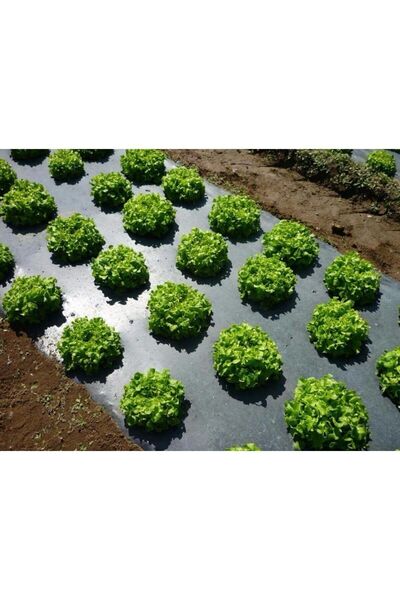 Procover Uzunluk 200 Metre/genişlik 130 Cm/kalınlık 100 Mikron/deliksiz/siyah/malç Naylonu/çilek Naylonu