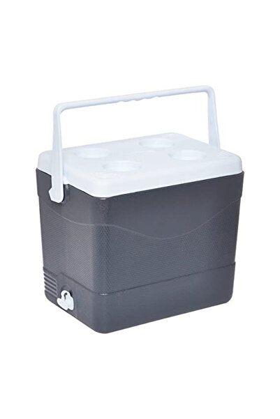 Cosmoplast Keep Cold Durable BPA-Free Picnic Ice Box with Handle 24 Liter