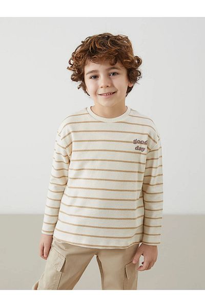 LC Waikiki Textured Fabric Striped Boy's T-Shirt