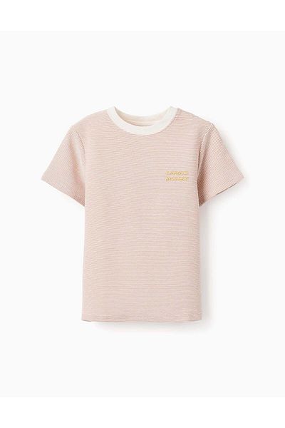 Ziddy Striped T-shirt with Print for Boys, White/Brown