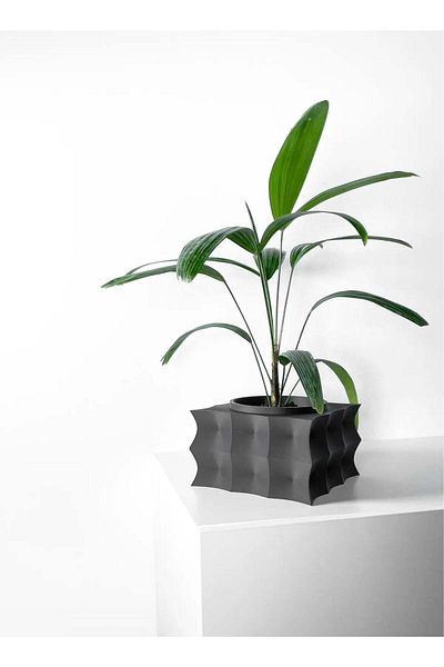 3D Brothers Averth Vase with Drainage Tray & Stand  Innovative and Stylish Plant Display