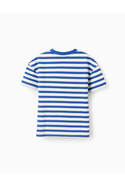 Ziddy Striped Cotton Piqué T-shirt for Boys, White/Blue