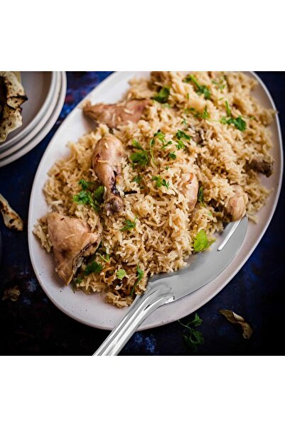 RAJ Stainless Steel Rice Serving Spoon, 25.5 cm, Silver, RSPD04 – Rice, Dessert & Cake Server