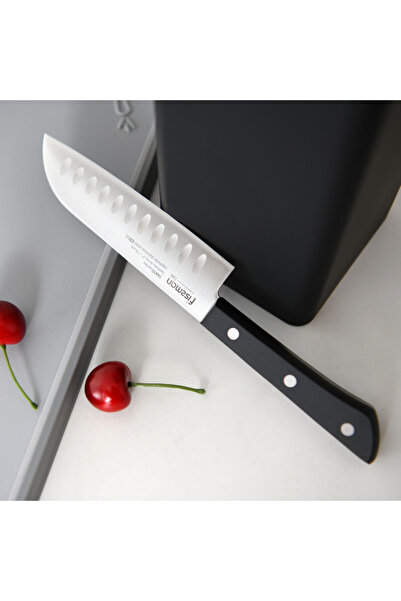 Fissman Santuko Knife 13cm TANTO