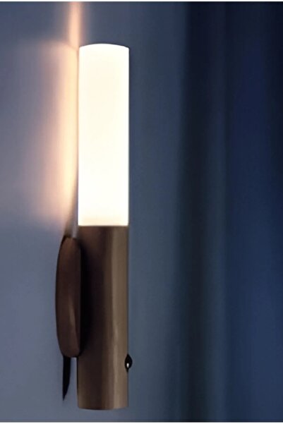 Şahane Pazar Hareket Sensörlü Montajsız Duvar Işığı SHN-1193