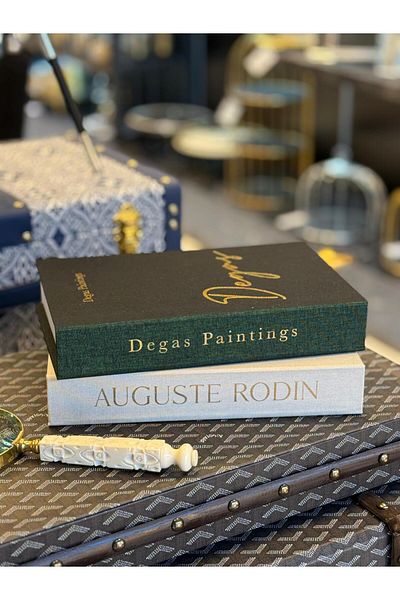 NARİBA Decorative Book Box Set of 2 - Fabric Covered