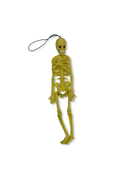 Tahtakale Hobi Plastik Iskelet Modeli