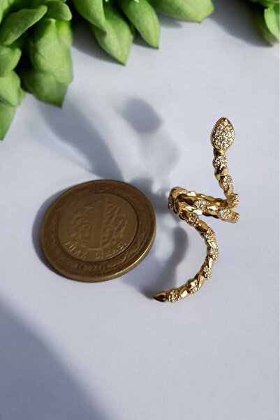 Öze Aksesuar حلق ثعبان مثقوب، حلق غضروف مع حجر الزركون، موديل Vip، مضاد للتشوه، مضاد للحساسية