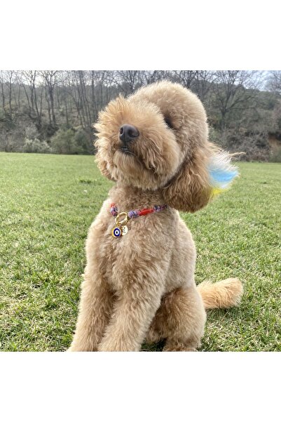 JesPawty Gökyüzü Mavisi Ip Halat Kedi Köpek Kolyesi Charm Uçlu