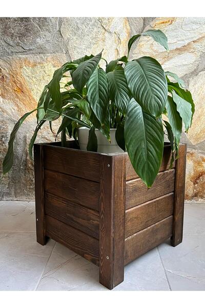Home Koyu Ceviz Ahşap Saksılık