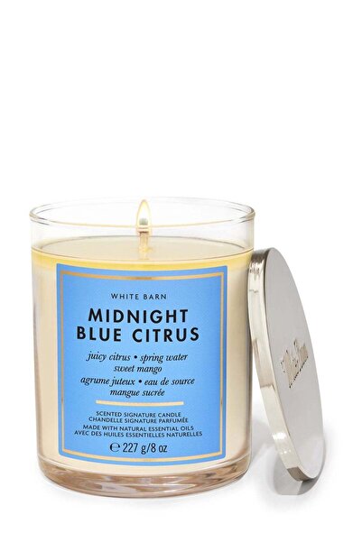 Bath & Body Works Midnight Blue Citrus Single Wick Candle