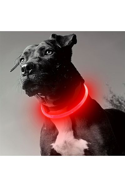 Choice M Red Pet Dog Led Light Collar Luminous Anti-lost Dog Collar Usb Rechargeable Dog Necklace Collar