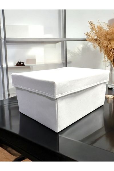 Balkan Room صندوق تنظيم خزانة الملابس مع غطاء صندوق تخزين متعدد الأغراض مقاس XLarge 40x30x20 سم