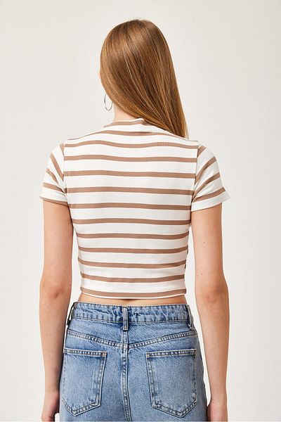 CALİENTE Striped Crew Neck Crop Blouse Brown
