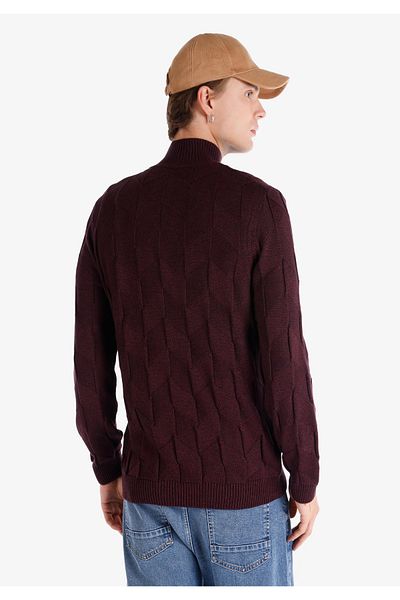 Colin's Purple Turtleneck Regular Fit Men's Sweater