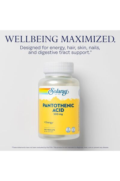 Solaray Pantothenic Acid 500mg - Vitamin B5 for Energy, Hair, Skin - Vegan, 100 VegCaps